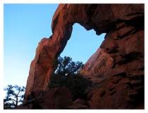 img_0905.jpg